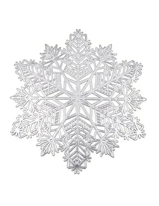47. SILVER SNOWFLAKE